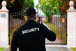 VIP Security Services London